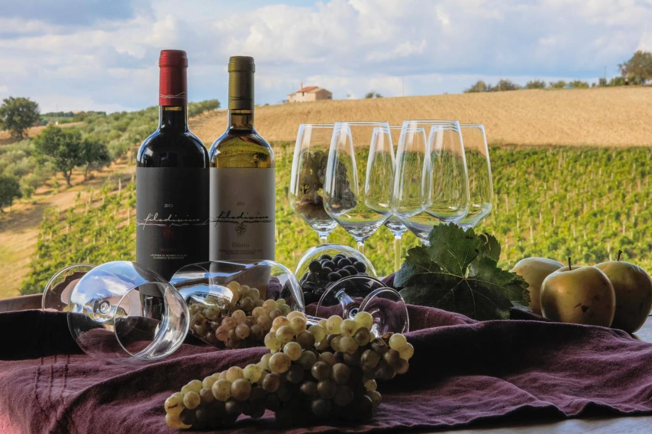 Filodivino Wine Resort & Spa San Marcello  Exteriör bild