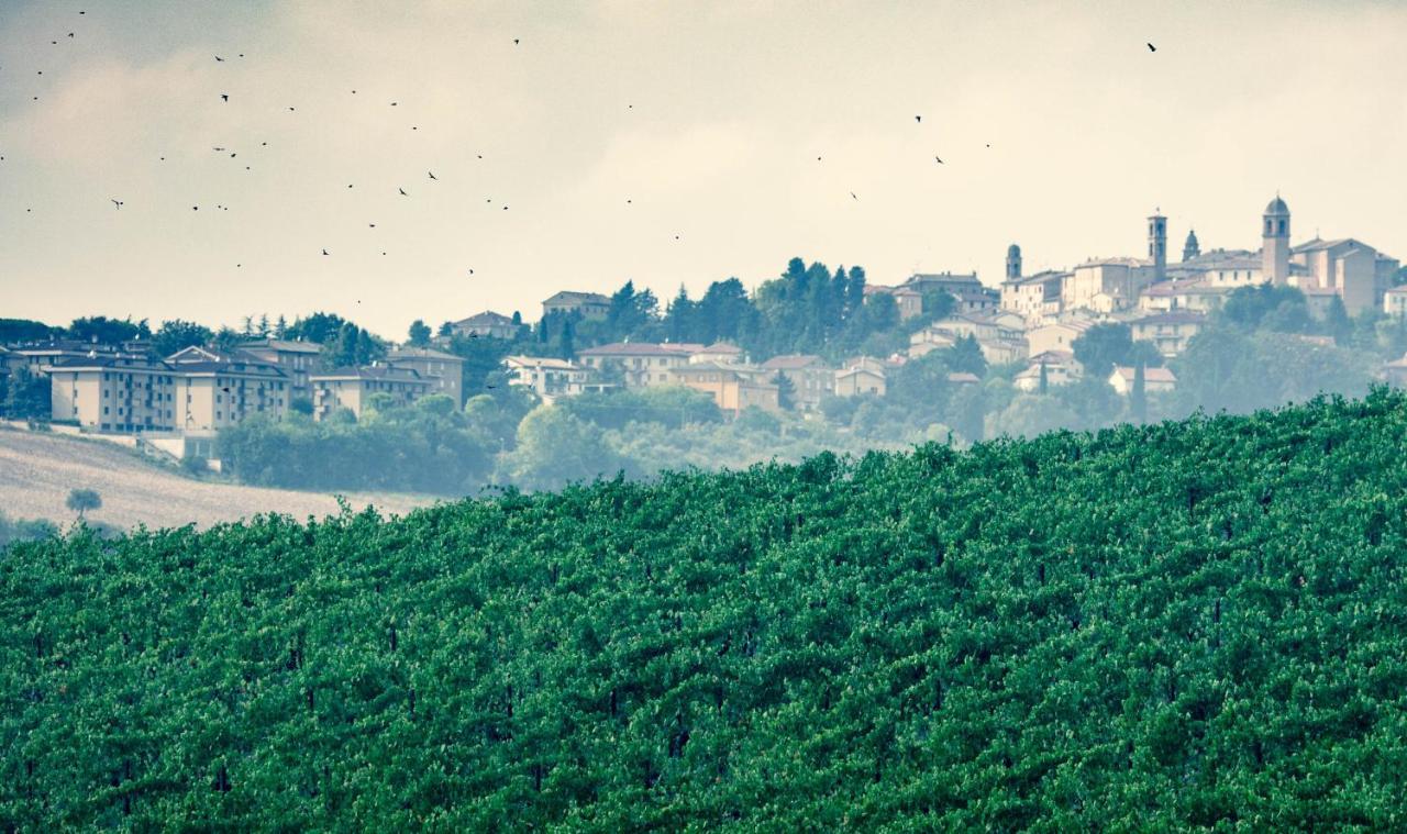 Filodivino Wine Resort & Spa San Marcello  Exteriör bild